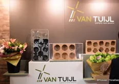 Van Tuijl's Flower Bucket and Eco Tray.